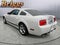 2007 Ford Mustang Shelby GT
