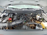 2025 Ford Super Duty F-250 SRW XLT