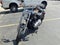 2024 HARLEY-DAVIDSON SOFTAIL Base