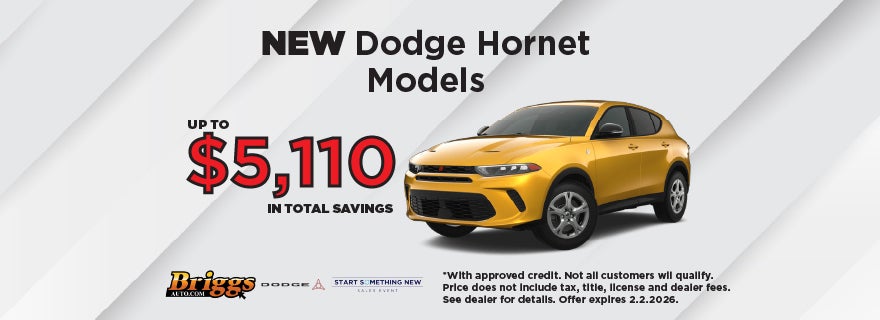 NEW DODGE HORNET MODELS